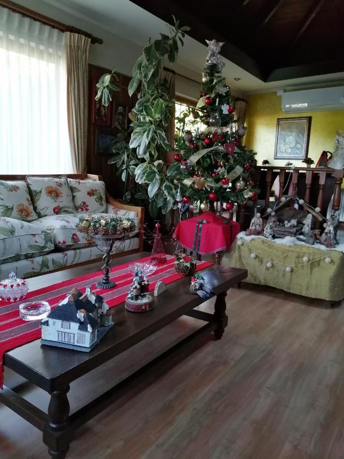 Posada Selva Negra Темуко Екстер'єр фото