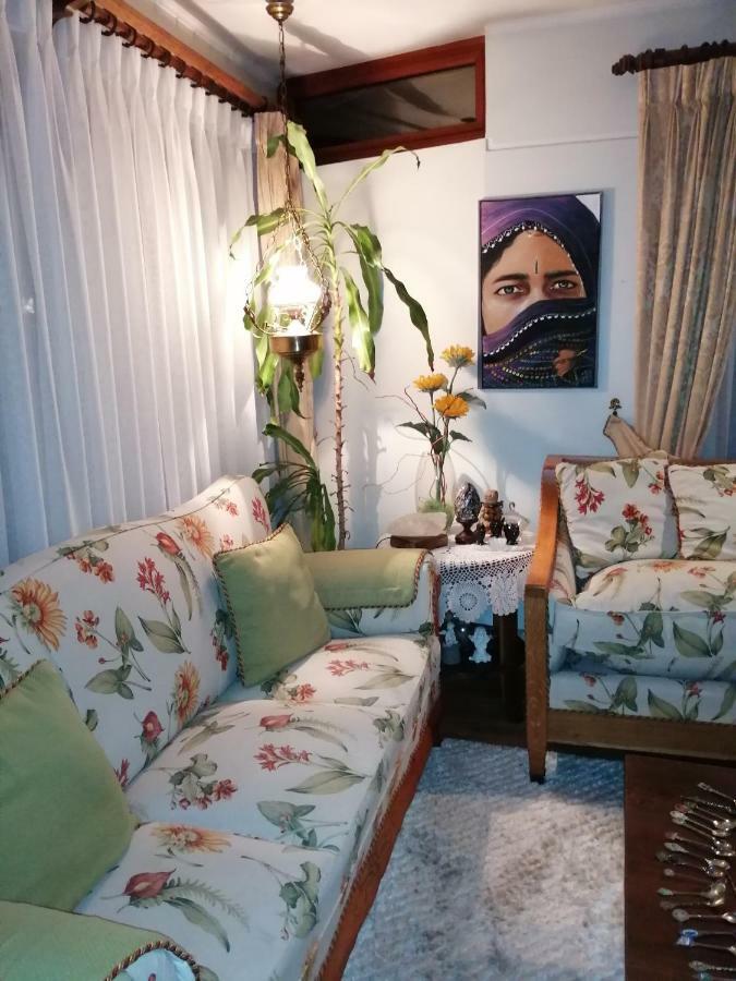Posada Selva Negra Темуко Екстер'єр фото
